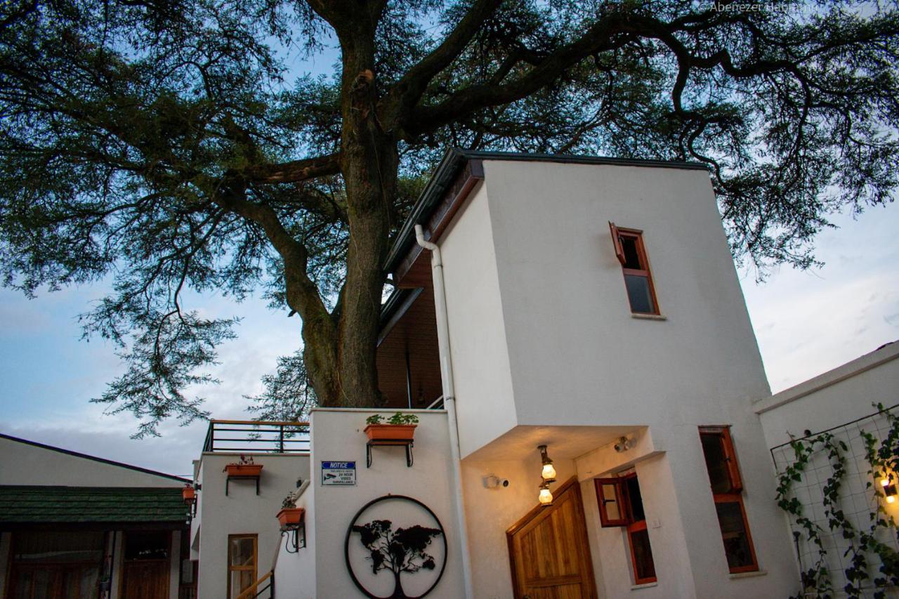 Choice Guest House 2 Adís Abeba Exterior foto
